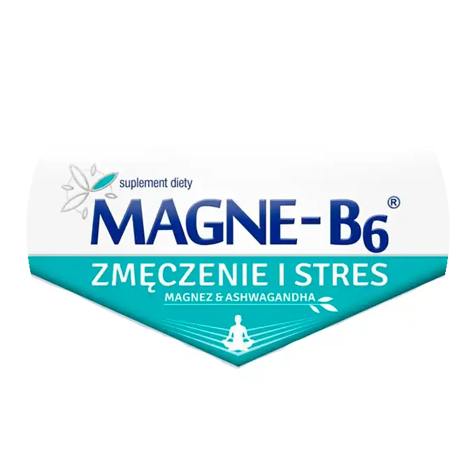 magne_b-6_logo